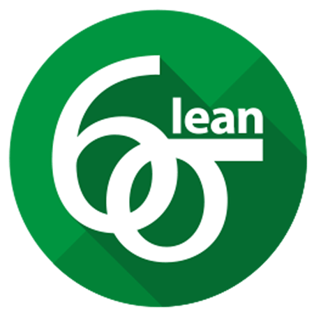 Six Sigma Belts