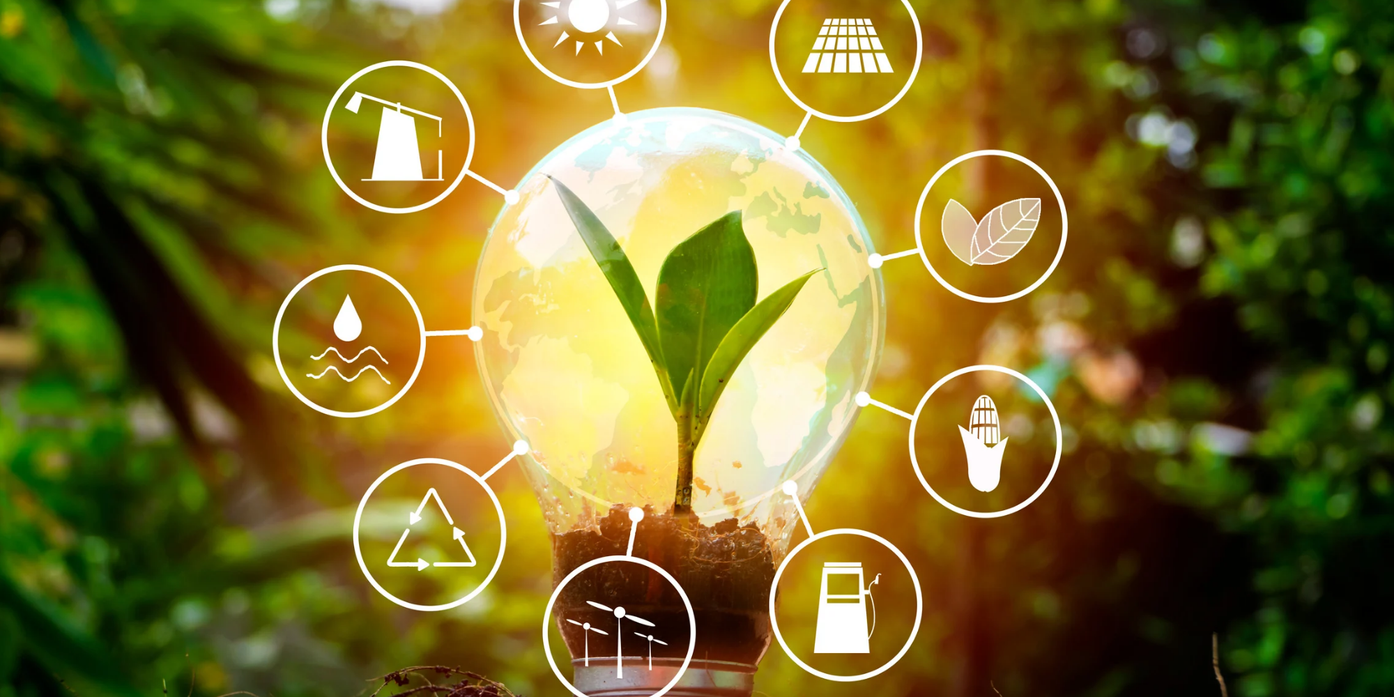 طاقة متجددة Renewable Energy