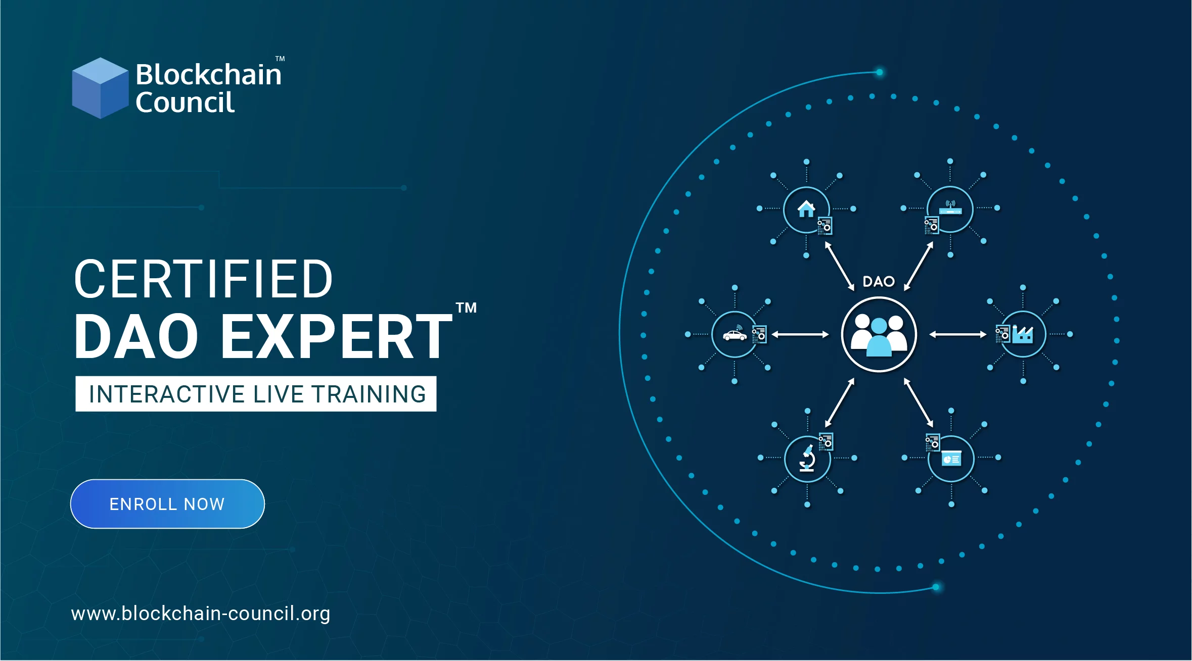 ™Certified DAO Expert