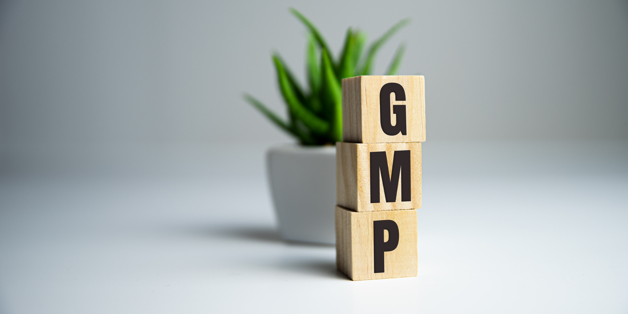 ممارسات التصنيع الجيد GMP