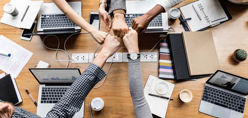 تعزيز مهارات التعاون وبناء الشبكات المهنية