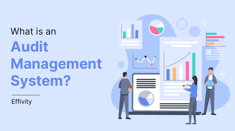 Management System Internal Audit